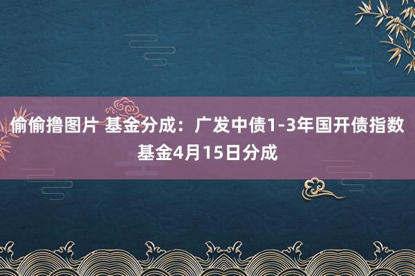 偷偷撸图片 基金分成：广发中债1-3年国开债指数基金4月15日分成