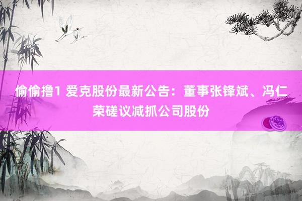 偷偷撸1 爱克股份最新公告：董事张锋斌、冯仁荣磋议减抓公司股份