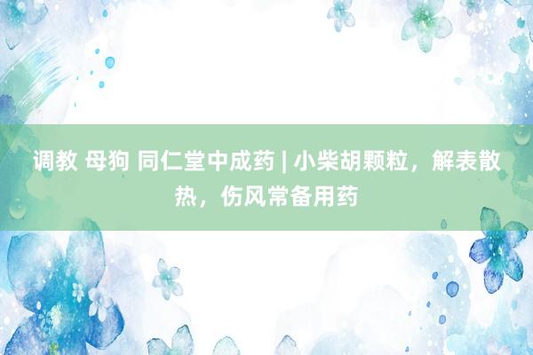 调教 母狗 同仁堂中成药 | 小柴胡颗粒，解表散热，伤风常备用药
