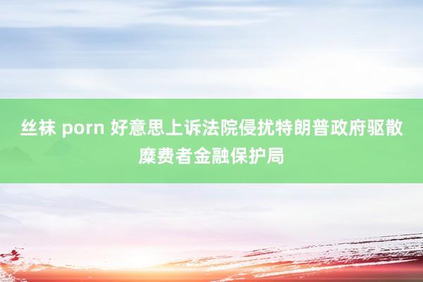 丝袜 porn 好意思上诉法院侵扰特朗普政府驱散糜费者金融保护局