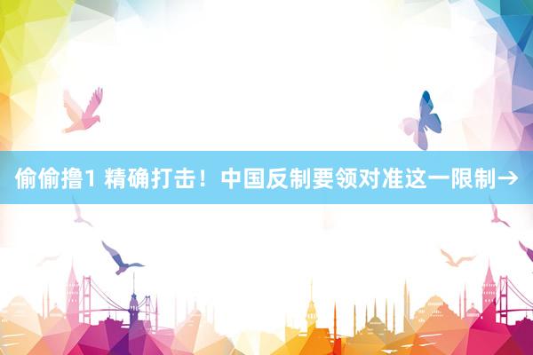 偷偷撸1 精确打击！中国反制要领对准这一限制→