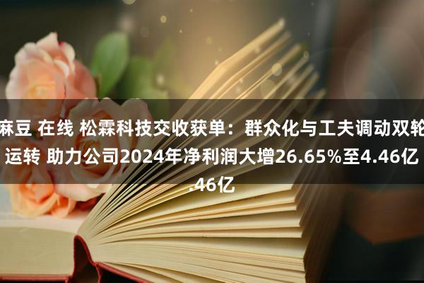麻豆 在线 松霖科技交收获单：群众化与工夫调动双轮运转 助力公司2024年净利润大增26.65%至4.46亿