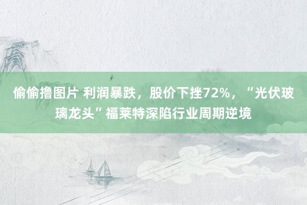 偷偷撸图片 利润暴跌，股价下挫72%，“光伏玻璃龙头”福莱特深陷行业周期逆境