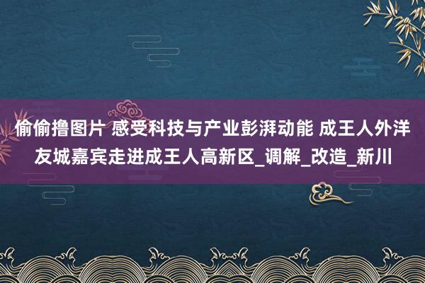 偷偷撸图片 感受科技与产业彭湃动能 成王人外洋友城嘉宾走进成王人高新区_调解_改造_新川