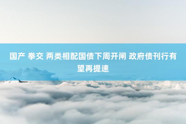 国产 拳交 两类相配国债下周开闸 政府债刊行有望再提速