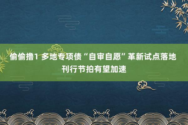 偷偷撸1 多地专项债“自审自愿”革新试点落地 刊行节拍有望加速