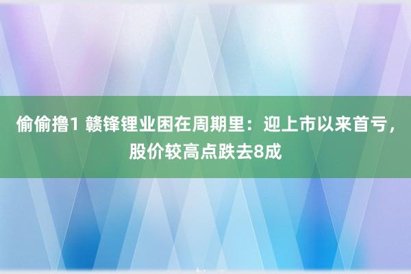 偷偷撸1 赣锋锂业困在周期里：迎上市以来首亏，股价较高点跌去8成