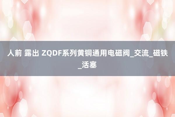 人前 露出 ZQDF系列黄铜通用电磁阀_交流_磁铁_活塞