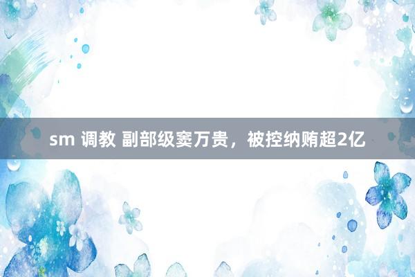 sm 调教 副部级窦万贵，被控纳贿超2亿