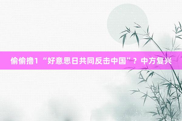 偷偷撸1 “好意思日共同反击中国”？中方复兴