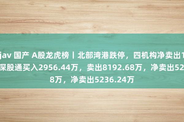 jav 国产 A股龙虎榜丨北部湾港跌停，四机构净卖出1.04亿，深股通买入2956.44万，卖出8192.68万，净卖出5236.24万