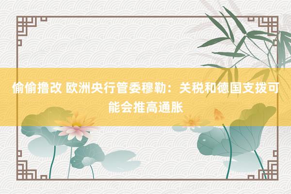 偷偷撸改 欧洲央行管委穆勒：关税和德国支拨可能会推高通胀