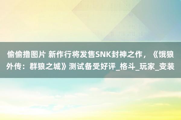 偷偷撸图片 新作行将发售SNK封神之作，《饿狼外传：群狼之城》测试备受好评_格斗_玩家_变装