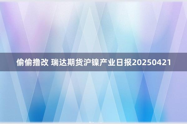 偷偷撸改 瑞达期货沪镍产业日报20250421