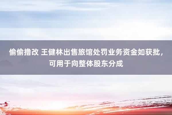 偷偷撸改 王健林出售旅馆处罚业务资金如获批，可用于向整体股东分成