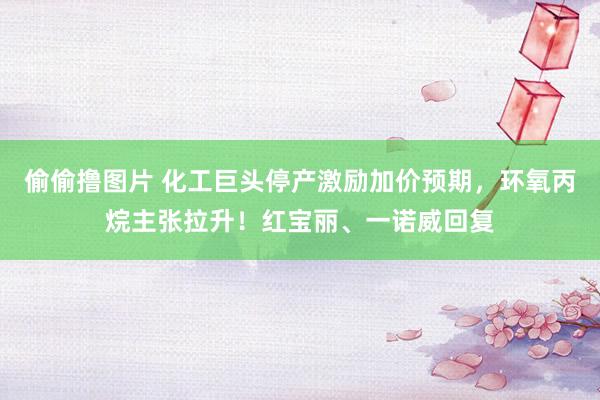 偷偷撸图片 化工巨头停产激励加价预期，环氧丙烷主张拉升！红宝丽、一诺威回复