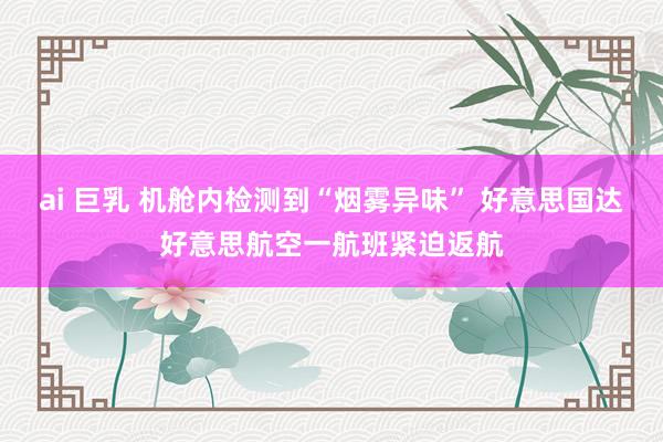 ai 巨乳 机舱内检测到“烟雾异味” 好意思国达好意思航空一航班紧迫返航