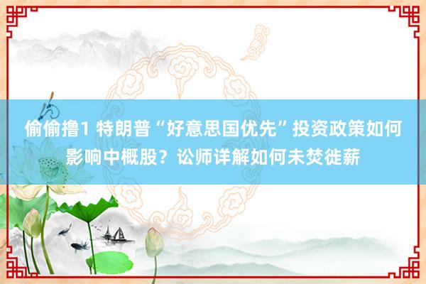偷偷撸1 特朗普“好意思国优先”投资政策如何影响中概股？讼师详解如何未焚徙薪