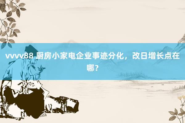 vvvv88 厨房小家电企业事迹分化，改日增长点在哪？