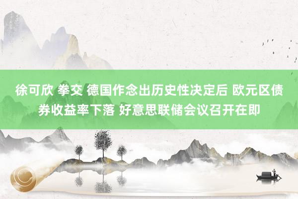 徐可欣 拳交 德国作念出历史性决定后 欧元区债券收益率下落 好意思联储会议召开在即
