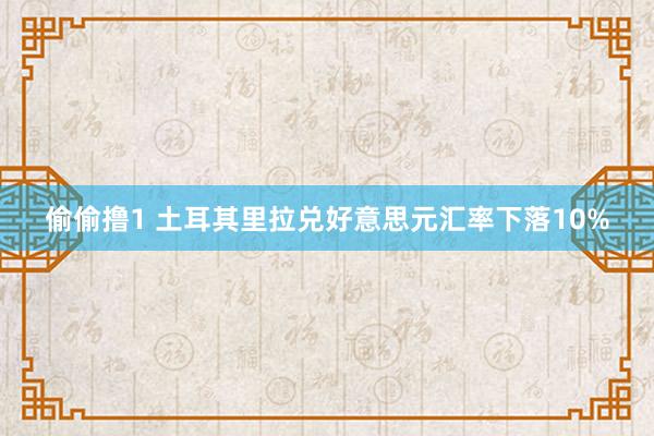 偷偷撸1 土耳其里拉兑好意思元汇率下落10%