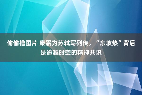 偷偷撸图片 康震为苏轼写列传，“东坡热”背后是逾越时空的精神共识