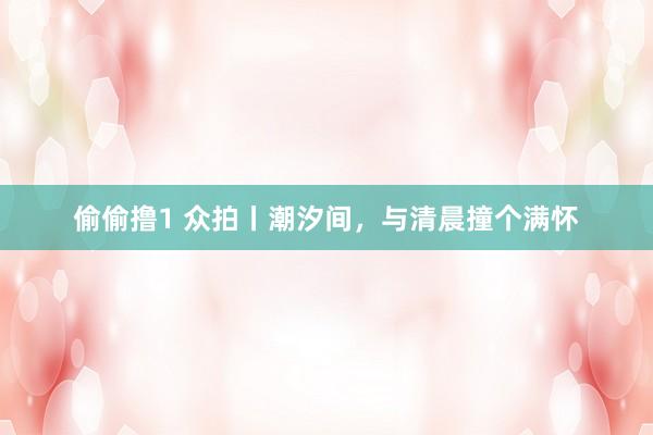 偷偷撸1 众拍丨潮汐间，与清晨撞个满怀