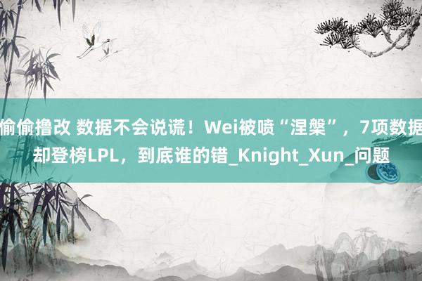 偷偷撸改 数据不会说谎！Wei被喷“涅槃”，7项数据却登榜LPL，到底谁的错_Knight_Xun_问题
