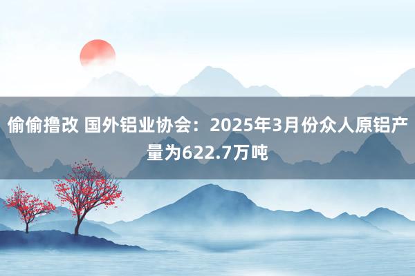 偷偷撸改 国外铝业协会：2025年3月份众人原铝产量为622.7万吨