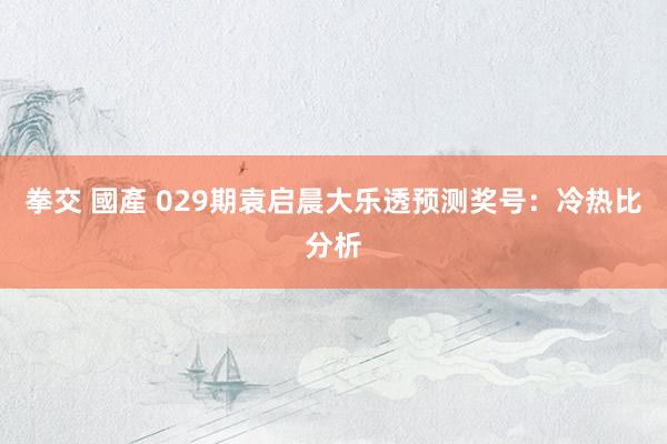 拳交 國產 029期袁启晨大乐透预测奖号：冷热比分析
