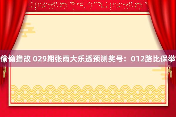 偷偷撸改 029期张雨大乐透预测奖号：012路比保举