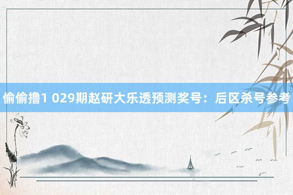 偷偷撸1 029期赵研大乐透预测奖号：后区杀号参考