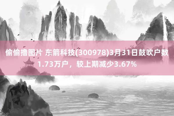 偷偷撸图片 东箭科技(300978)3月31日鼓吹户数1.73万户，较上期减少3.67%