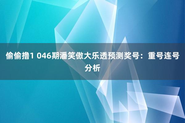 偷偷撸1 046期潘笑傲大乐透预测奖号：重号连号分析